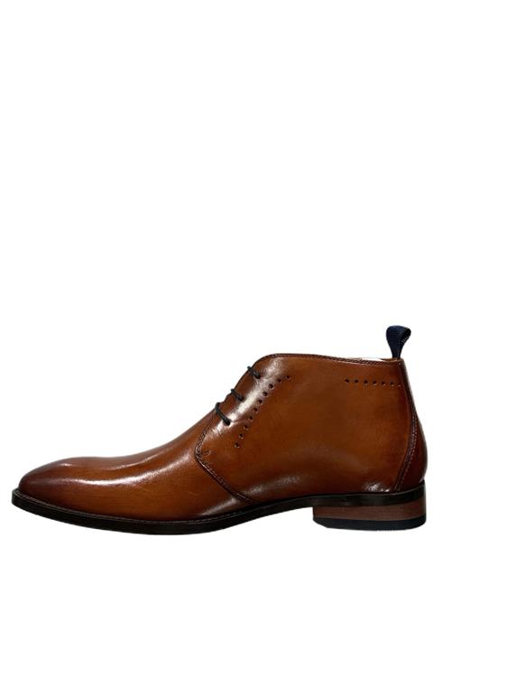 Van Lier 2459910 620 620 Cognac