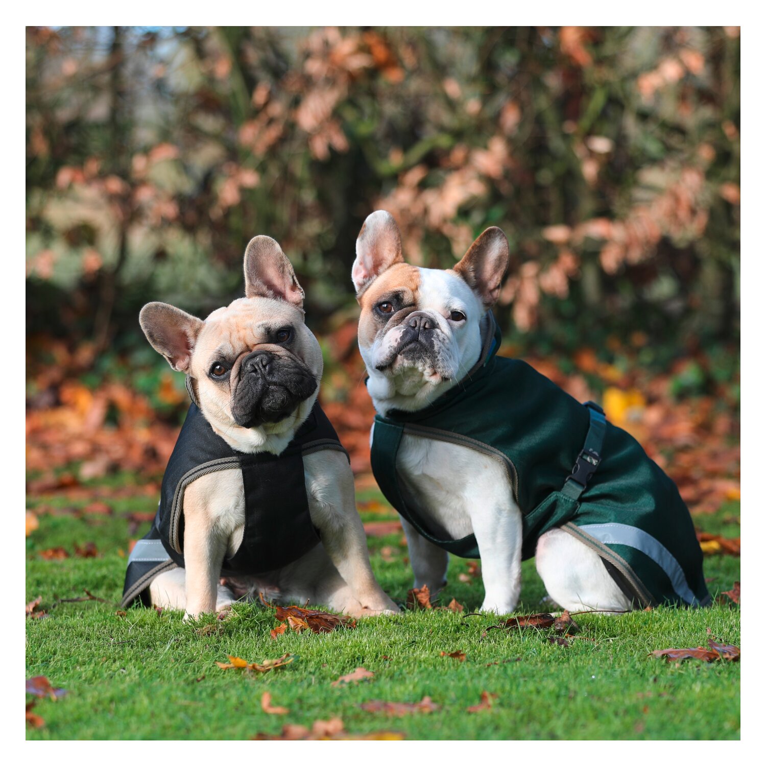 bucas Hundemantel Dog Rug Freedom 50 g - black/taupe