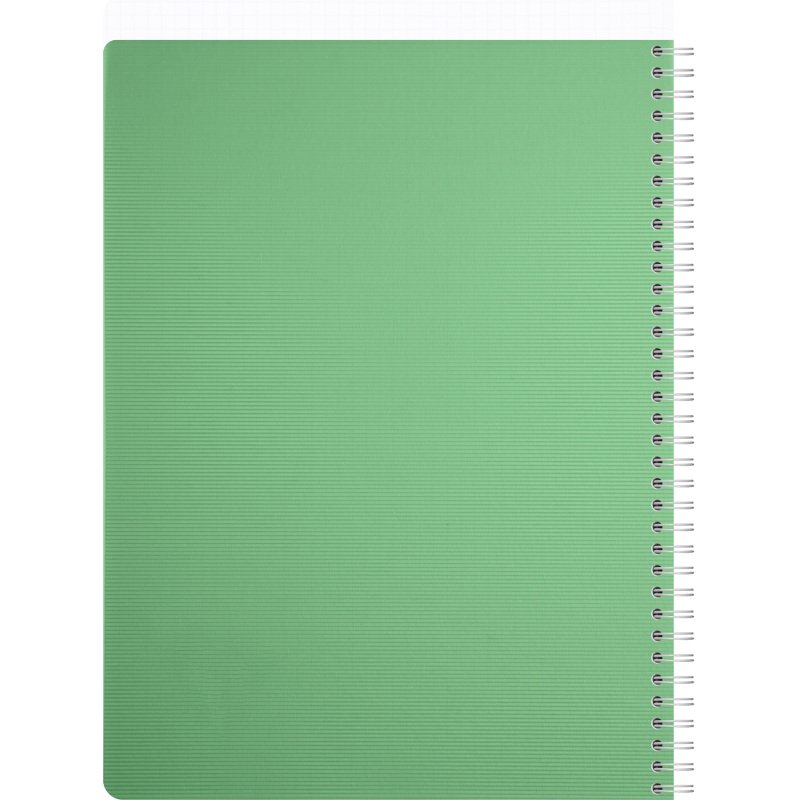 Carnet spirale Linicolor Essence A4 21 x 29,7 cm petits carreaux - 180 pages