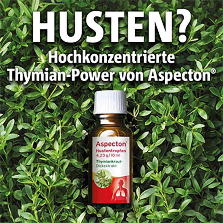 Aspecton® Hustentropfen, 100 ml