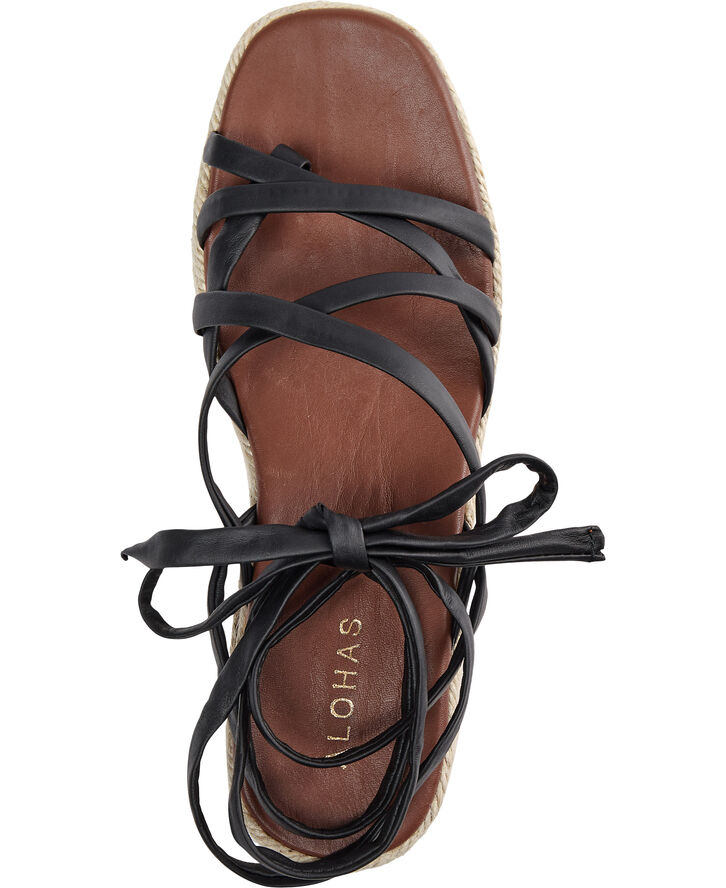 ALOHAS Paw-Paw Black Black
