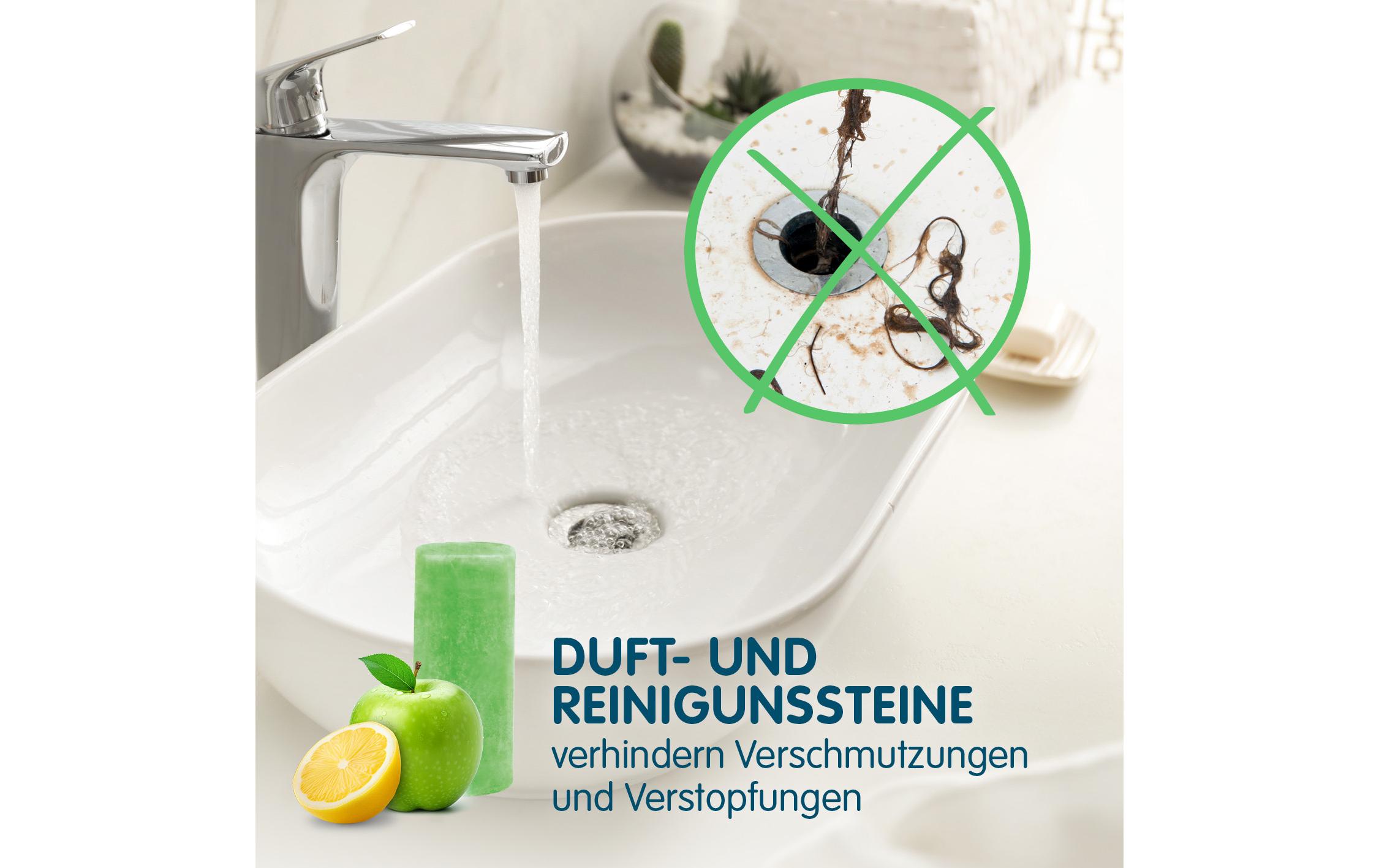 Reinigung Duftsteine, 4er SetFür angenehmen Geruch im Bad
