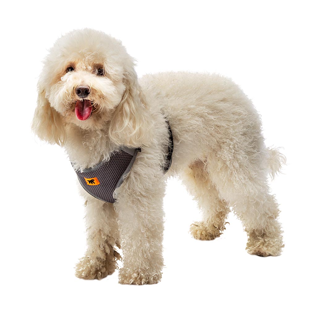 Harnais pour chiens nikita s, respirant, rembourré et ajustable