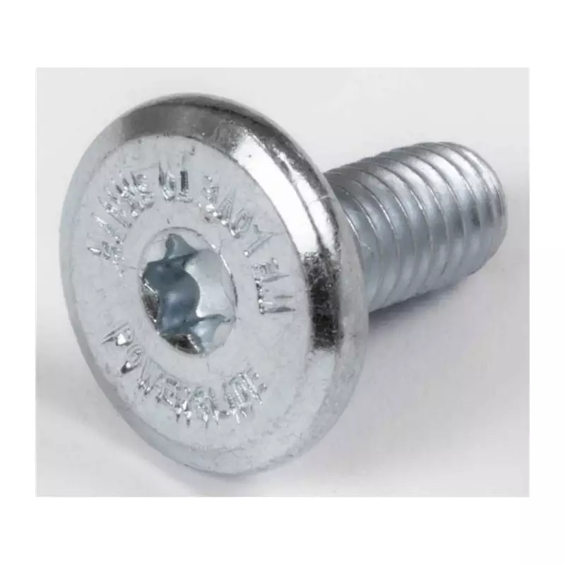 Visserie roller POWERSLIDE TorxMounting Screw L16mm, M6 Pcs