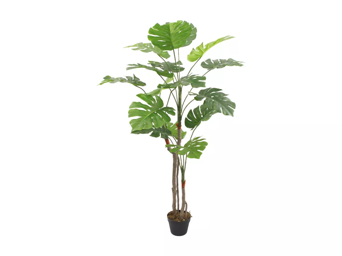 Plante artificielle Monstera Merah 155x50x50 PEVA Polyéthylène Vert Marron