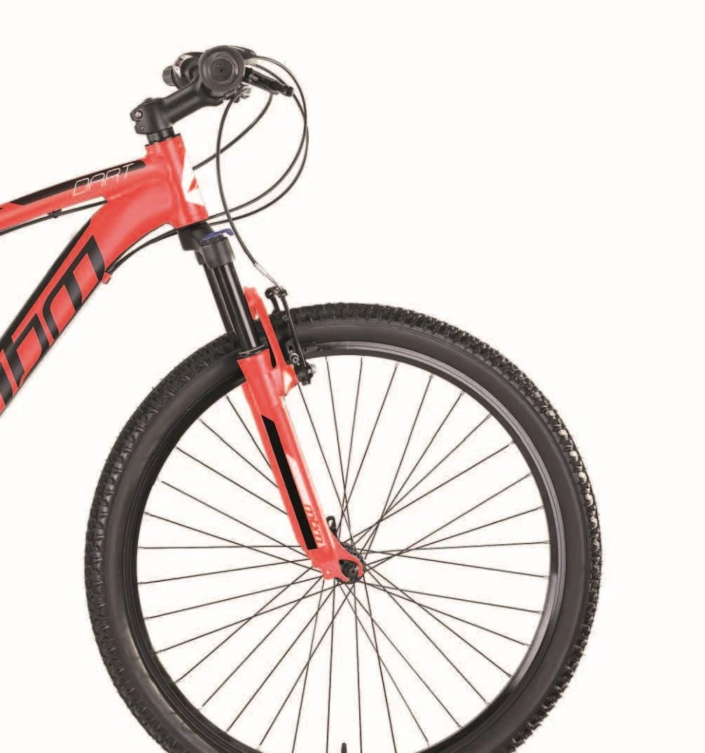 MBM Mountainbike 29 ZollDART