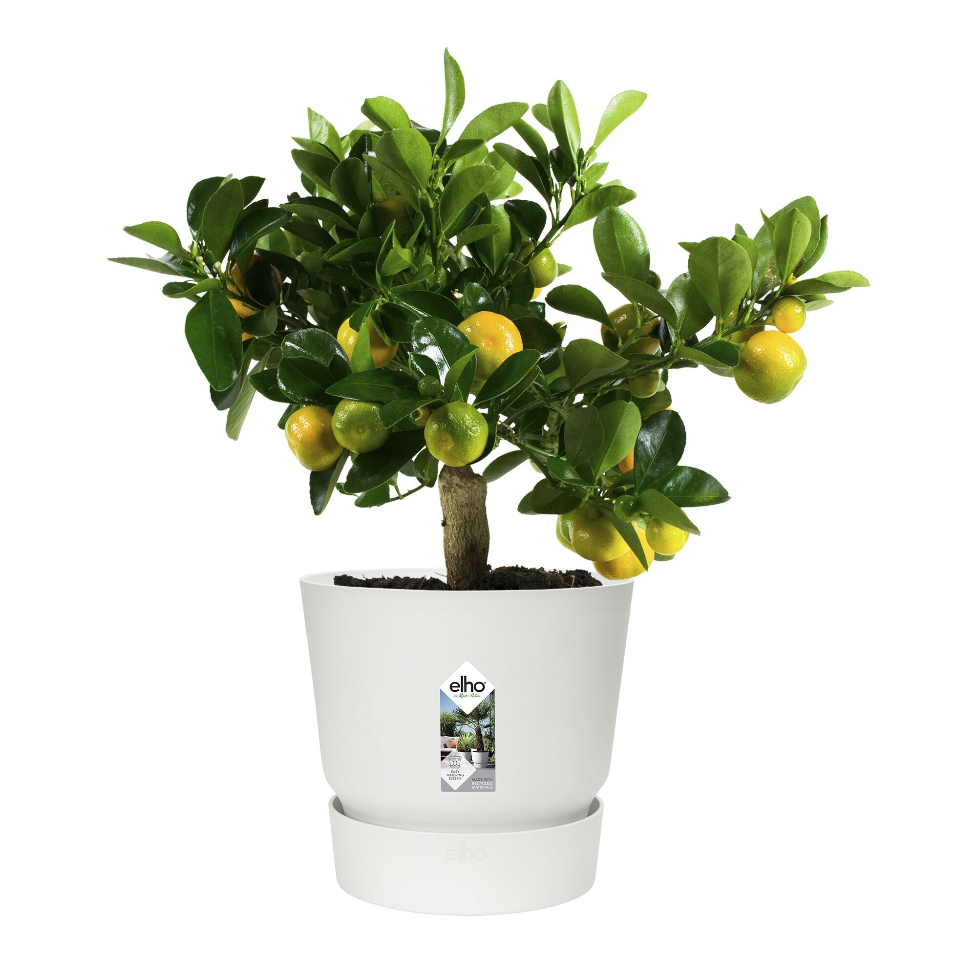 Elho Greenville Bloempot 25 cm