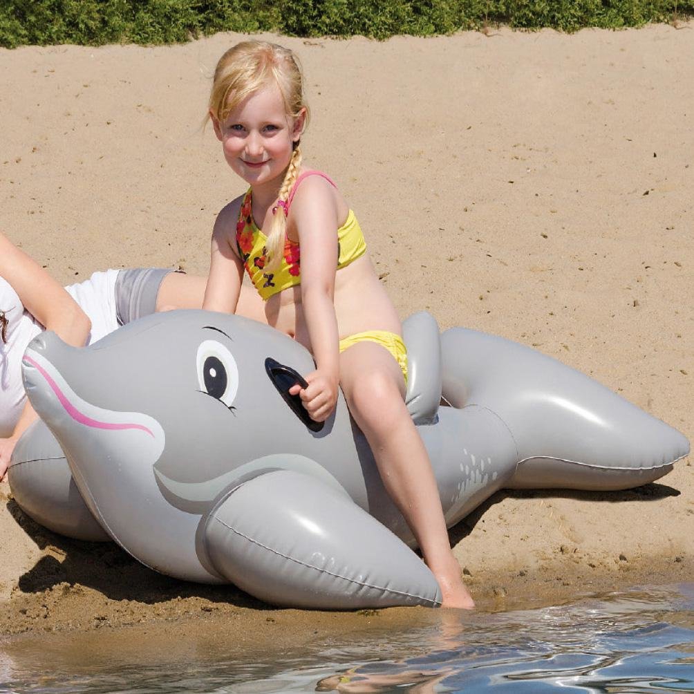 Reittier Delfin