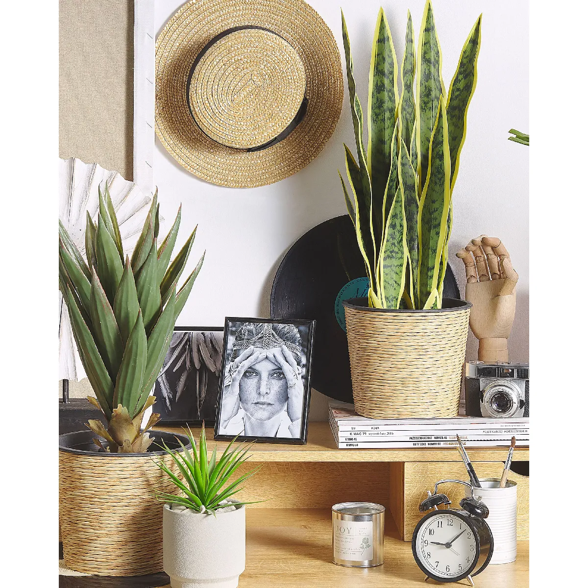 BELIANI SNAKE PLANT 63 cm Vert