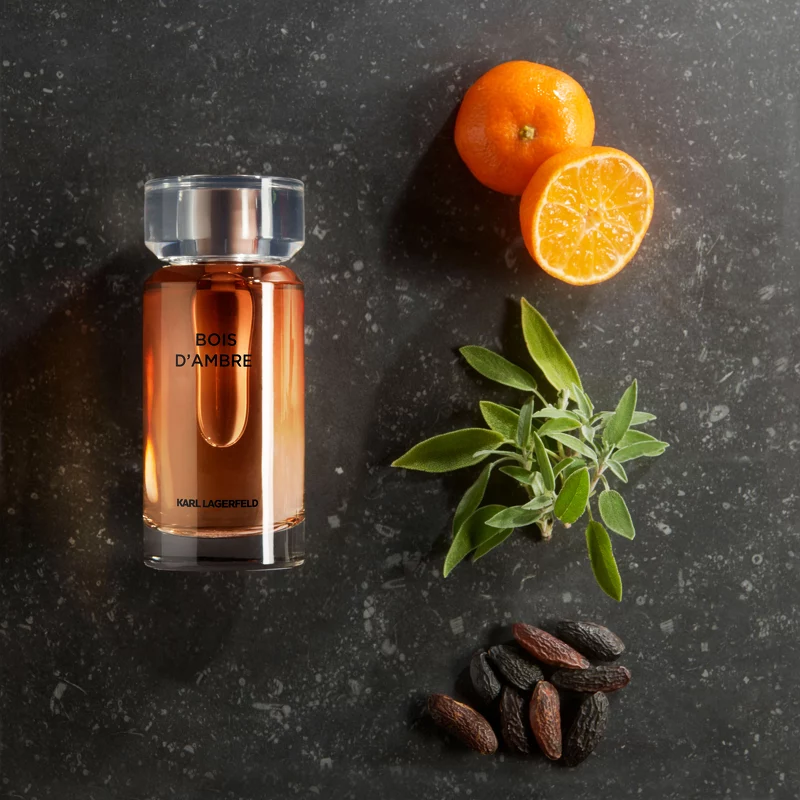 Karl Lagerfeld Bois d'Ambre EDT 100 ml