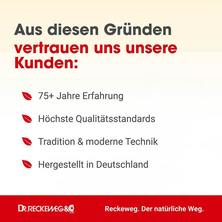 Angina-Gastreu S R1 Tropfen zum Einnehmen, 50 ml