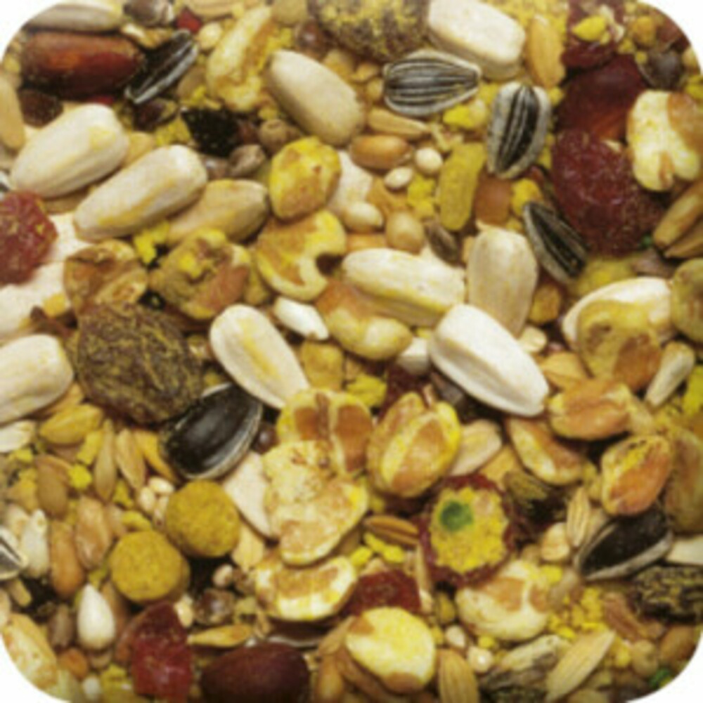 Beaphar XtraVital Papegaai 1 kg