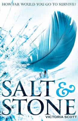 Salt & Stone - Fire & Flood 2 (Paperback)