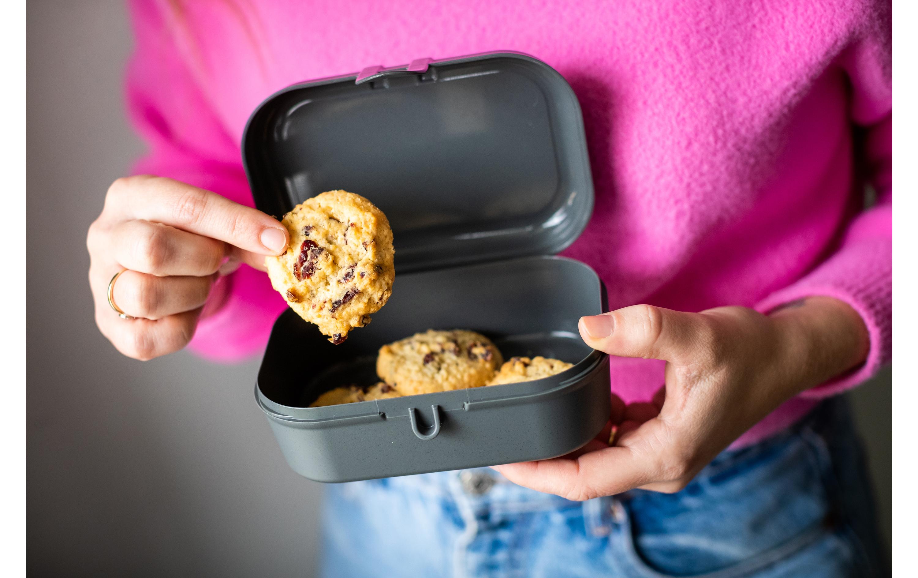 Lunchbox Pascal S GrauFrühstücksdose