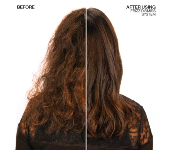Redken Frizz Dismiss Rebel Tame Cream