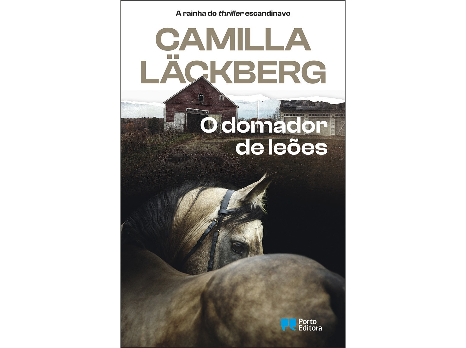LIVRO O DOMADOR DE LEÕES DE CAMILLA LÄCKBERG