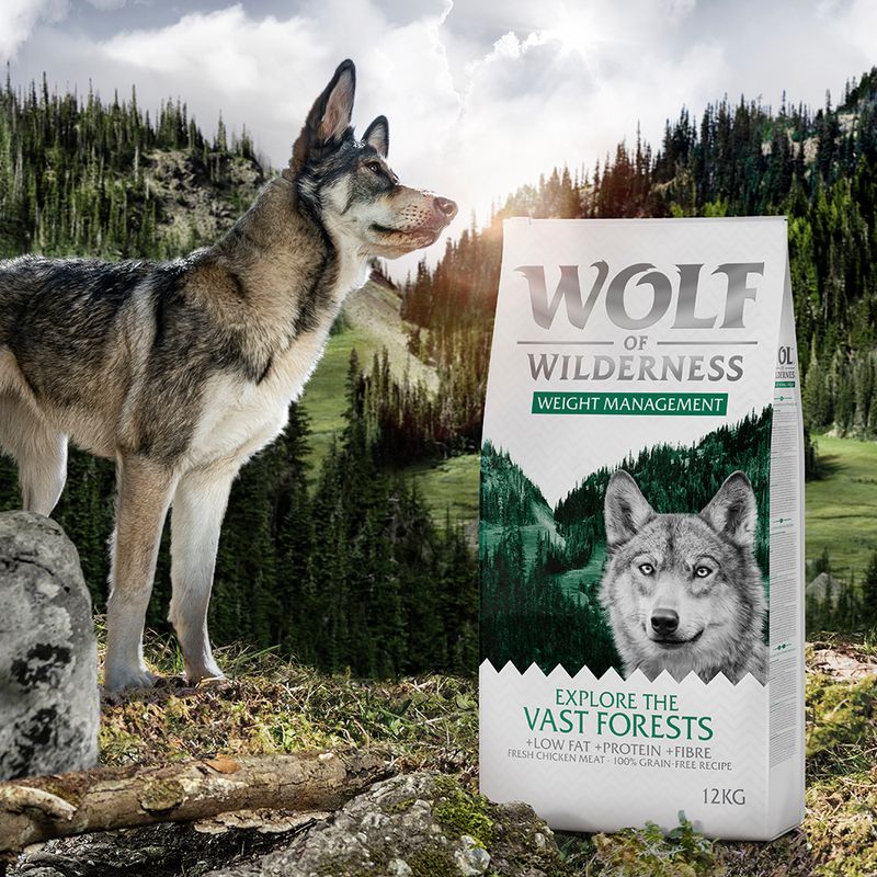 Wolf of Wilderness Explore The Vast Forests - Weight Management pour chien