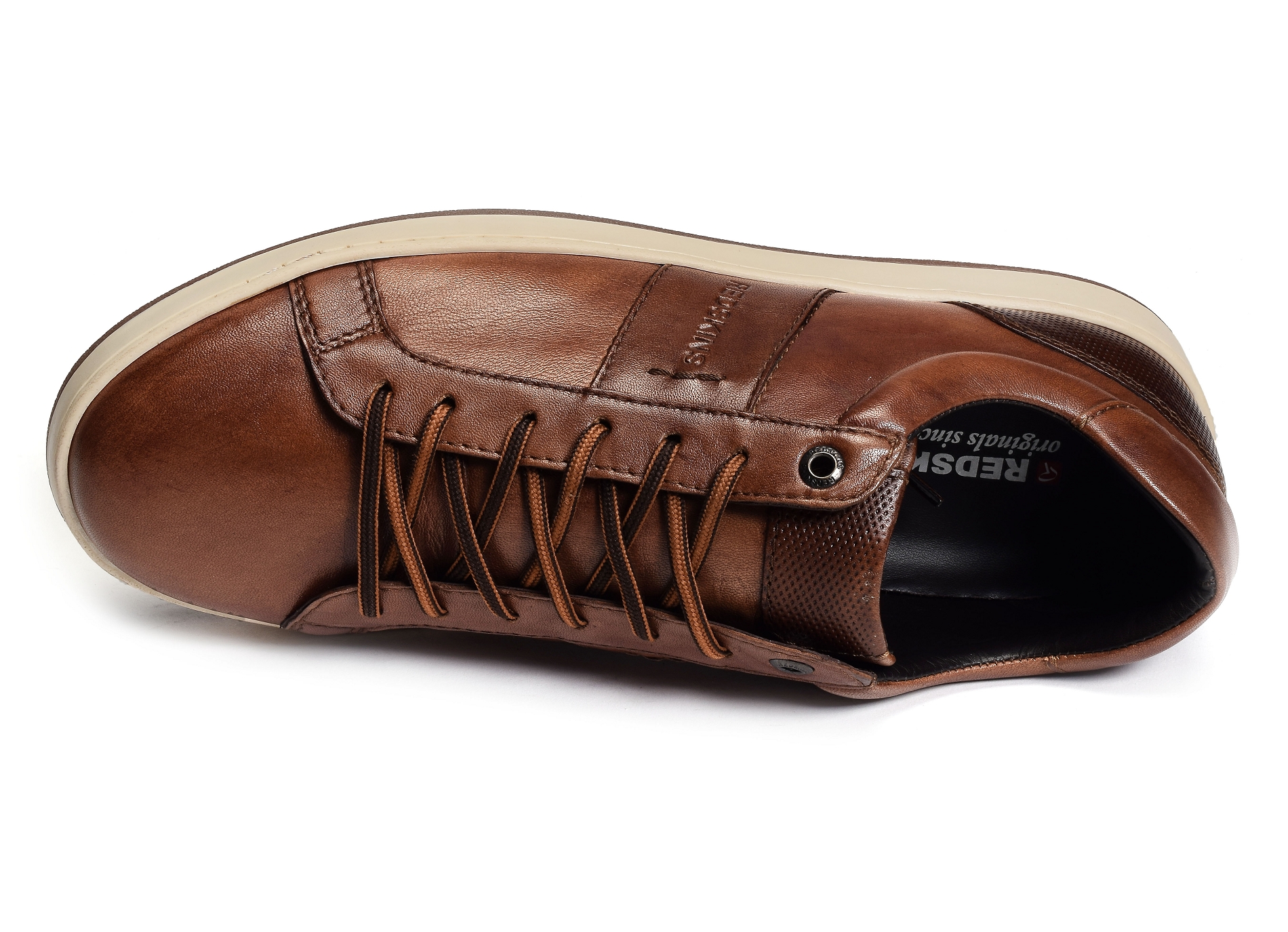 Compris camel