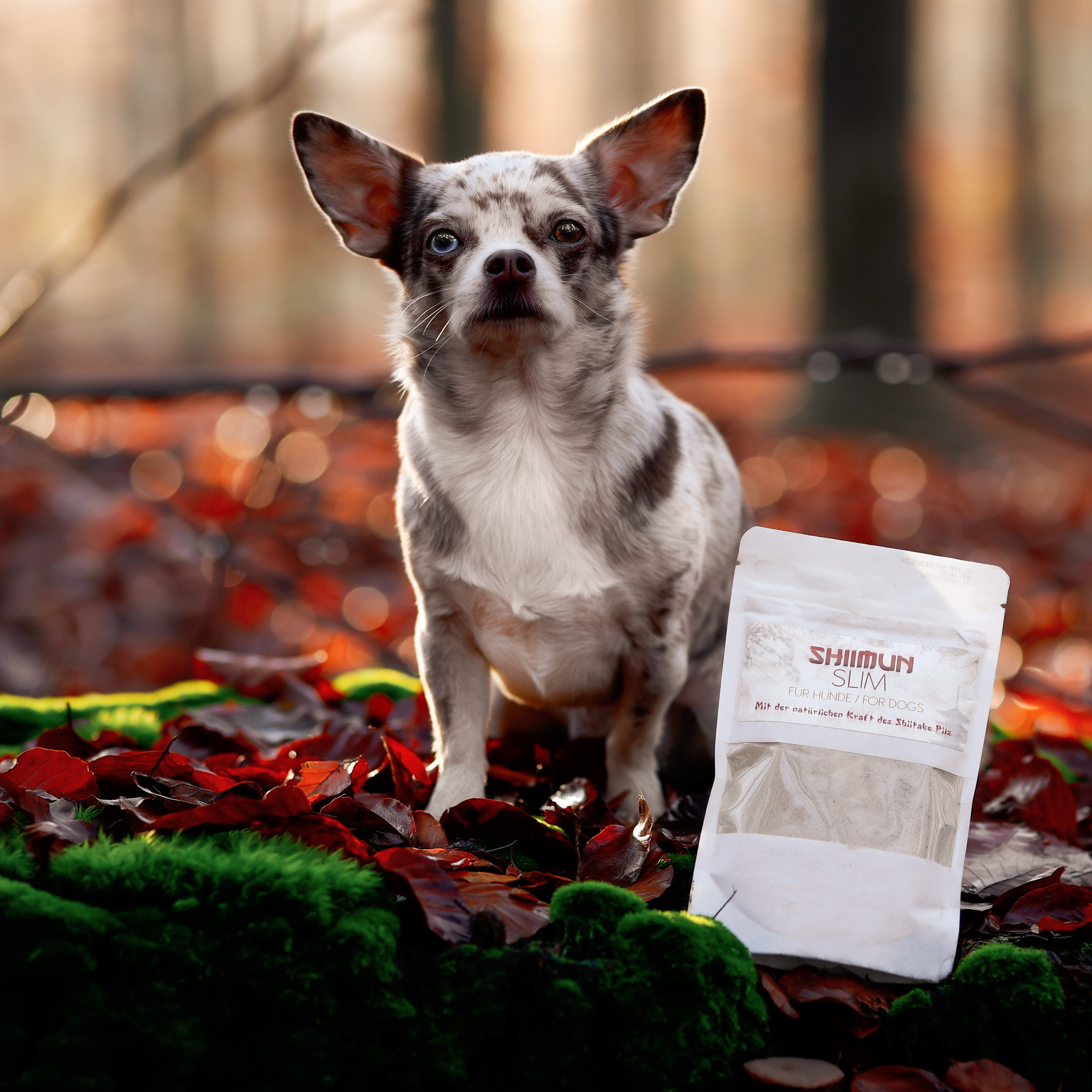 Shiimun slim poudre - shiimun slim pulver - 120g