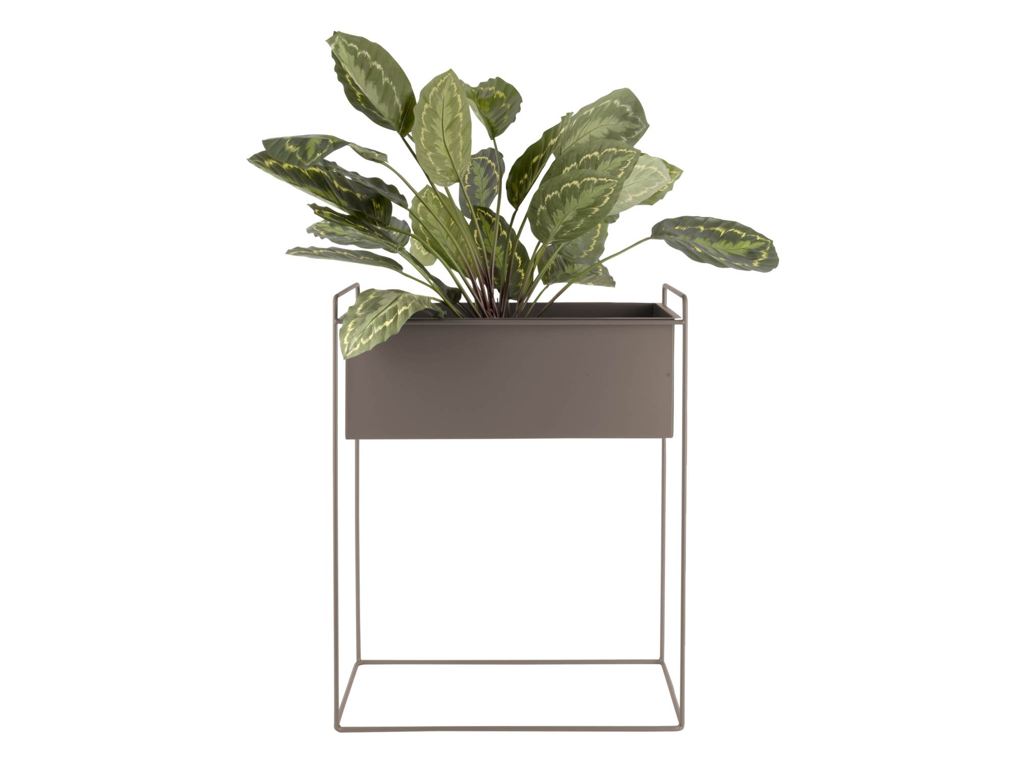 Plant pot set Essence straight iron moss green