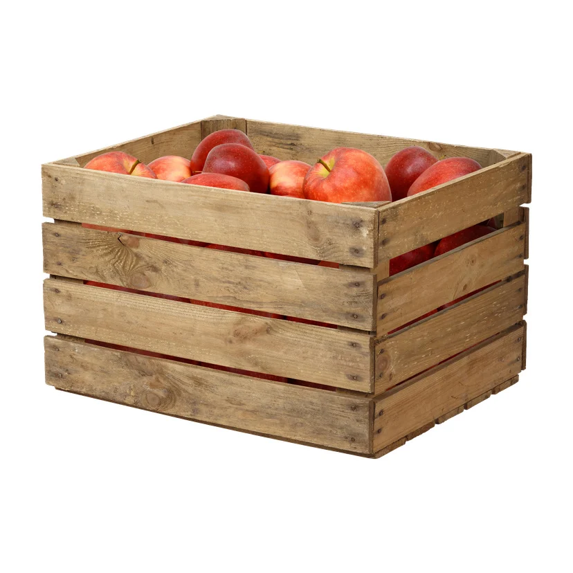 Trekasse 62 l 50x40x31 cm