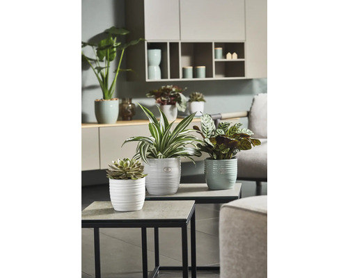 Soendgen Bergamo Pure keramische plantenbak, Ø 21 cm, H 20 cm, wit