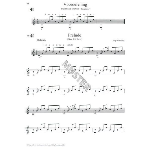 Broekmans & Van Poppel Guitarra Tirando
