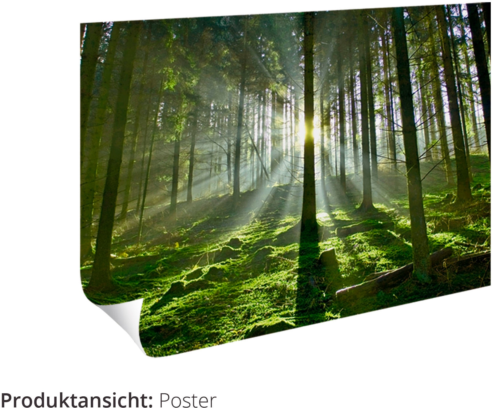 Artland Wandbild »Gold Abstrakt 1« Gegenstandslos 1 Stk. tlg. als Alubild, Outdoorbild, Leinwandbild, Poster in verschied. Grössen
