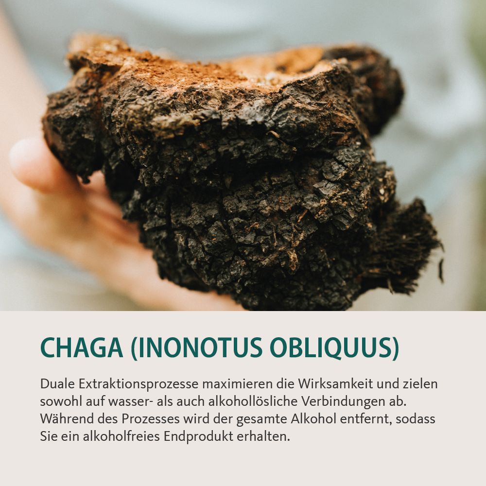 Vitalpilze Chaga Tropfen ohne Alkohol