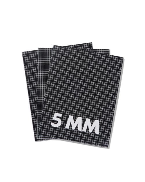 3 cahiers 16,5 x 21 cm - carreaux 5 mm