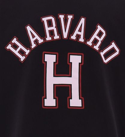 Champion -T-Shirt - Havard H - Schwarz