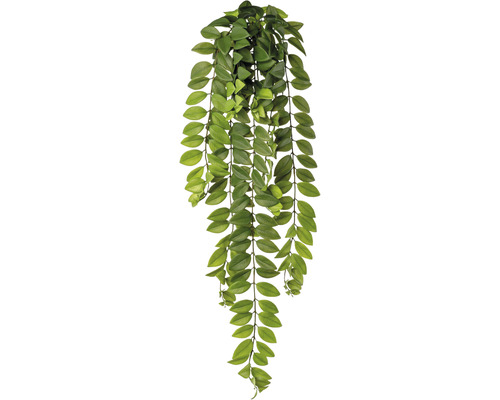 Kunstplant Columnea klimplant, hoogte: 85 cm, groen