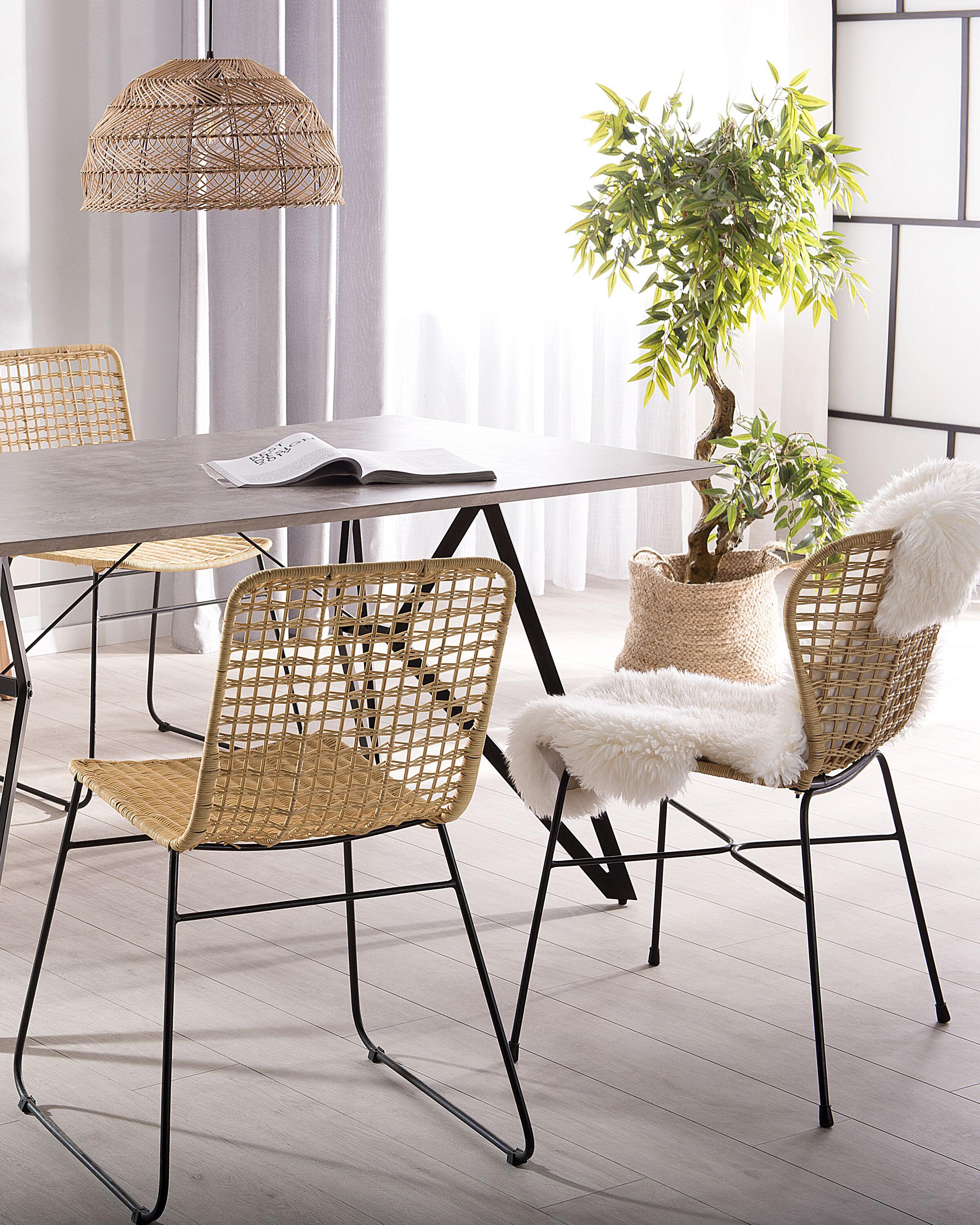 Set van 2 eetkamerstoelen ELFROS Rotan Natuurlijk