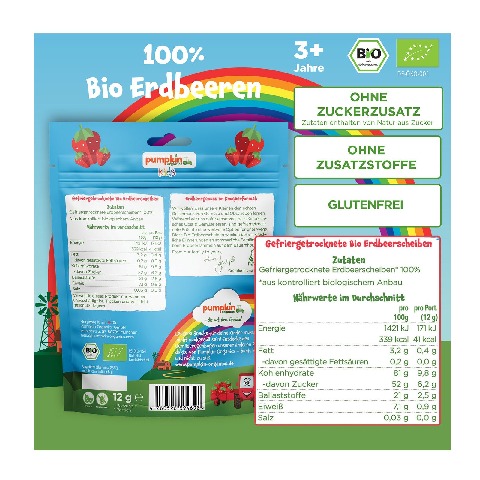 Pumpkin Organics Bio Erdbeere Fruchtchips