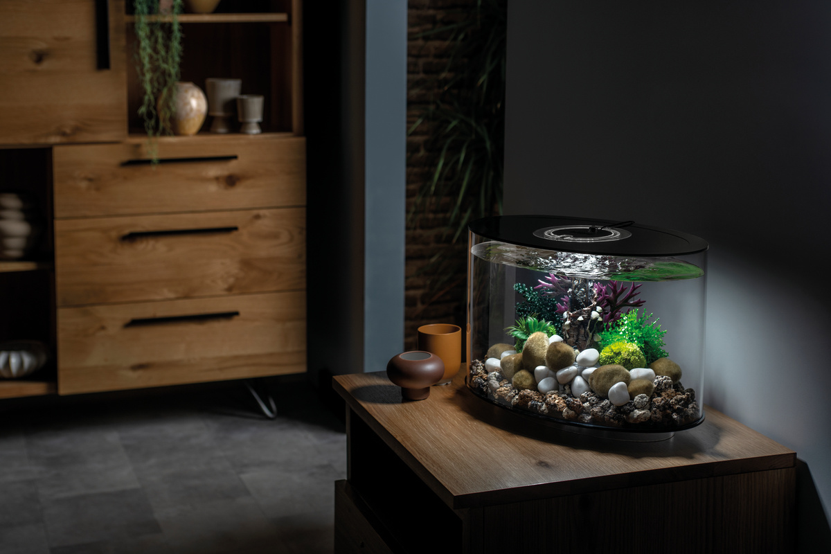 BiOrb LOOP 15 MCR Zwart | Aquarium van klein formaat