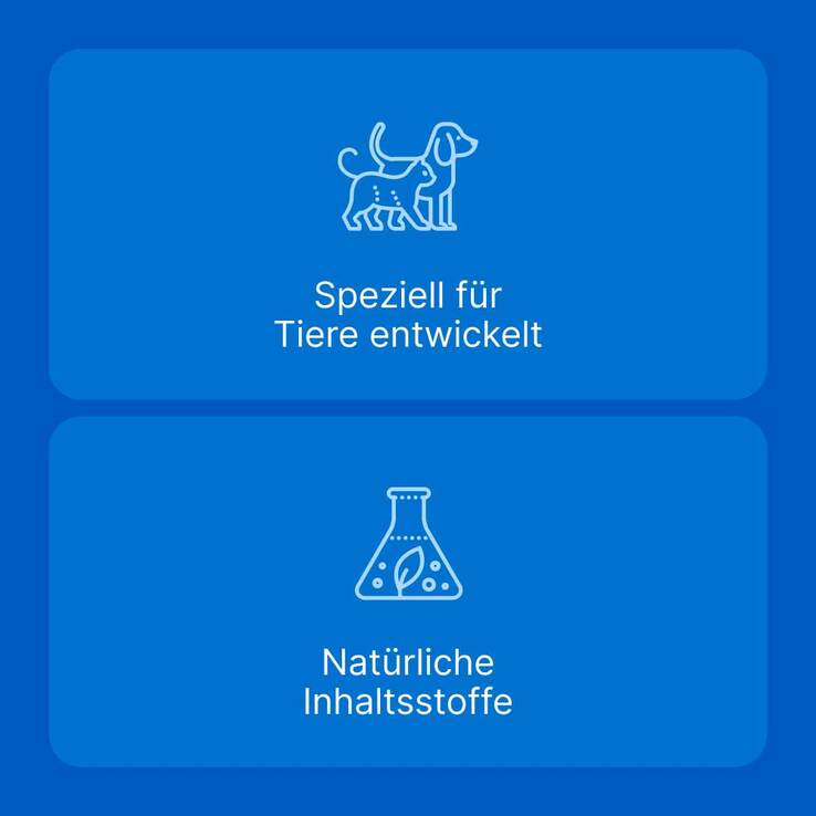 Traumeel T ad us. vet. Tabletten für Hund und Katze, 2x500 St