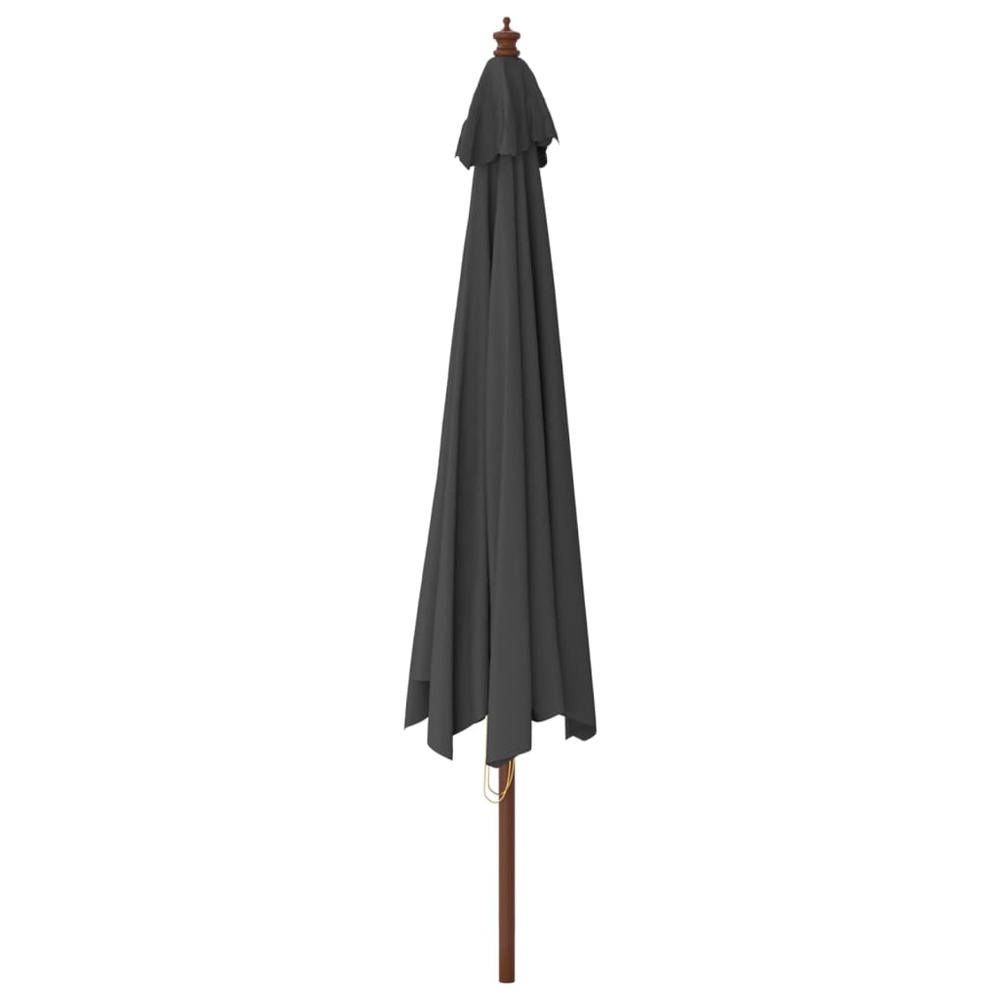 Parasol de jardin avec mât en bois 400 x 273 cm anthracite