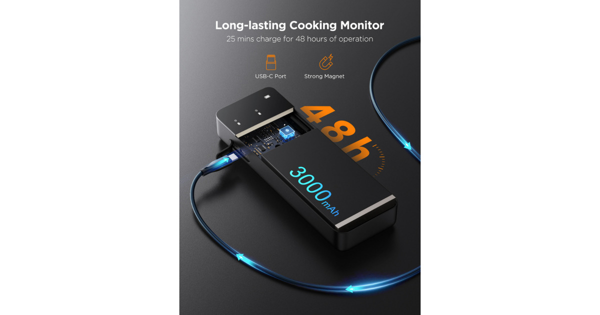 GoveeSmart Wireless Meat Thermometer  (Zwart, 2.4GHz Wi-Fi, Bluetooth)