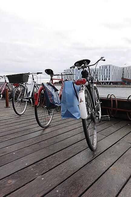 COBAGS - SAC CABAS BIKEZAC 2.0