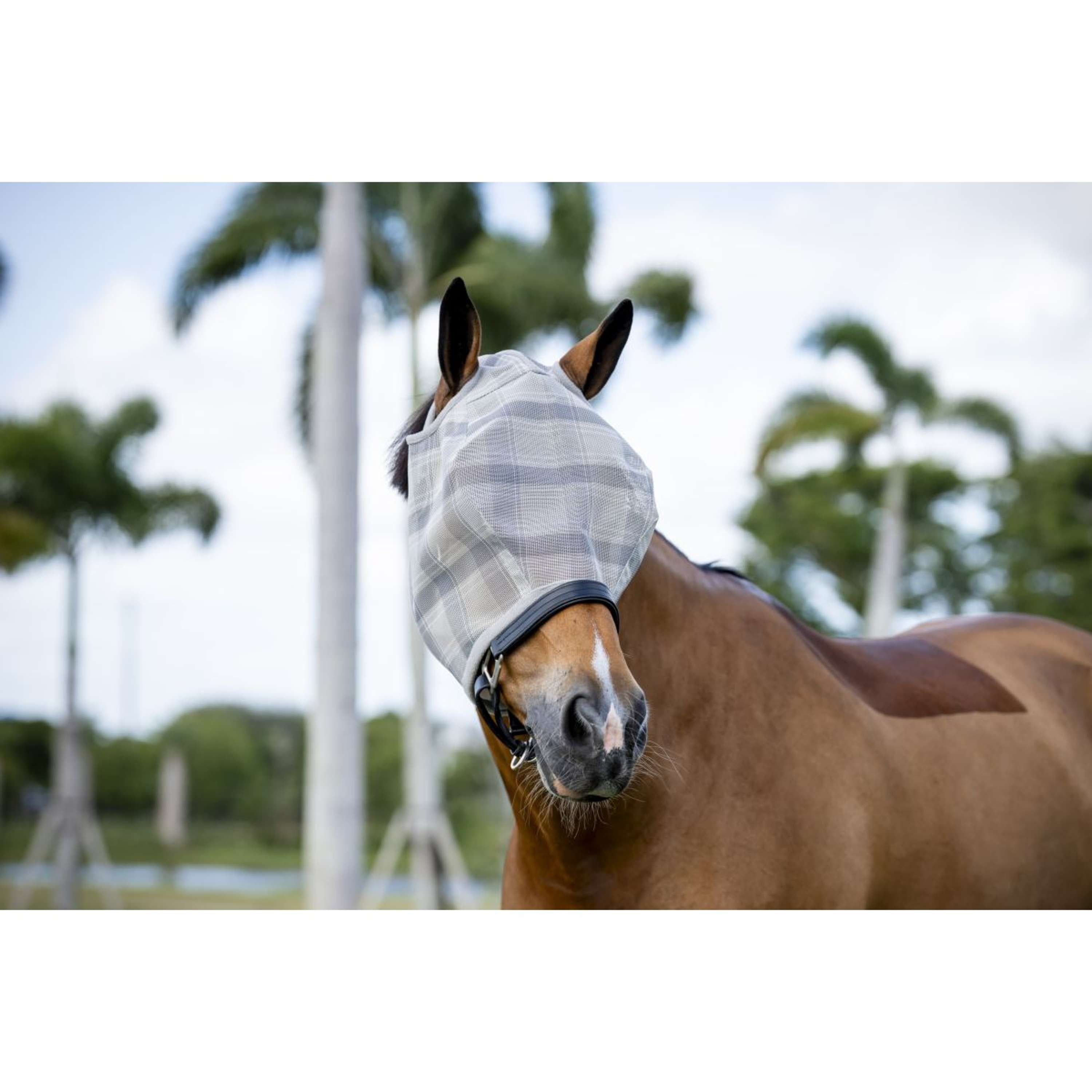 Horseware Vliegenmasker Newmarket Zonder oren Witney Charcoal