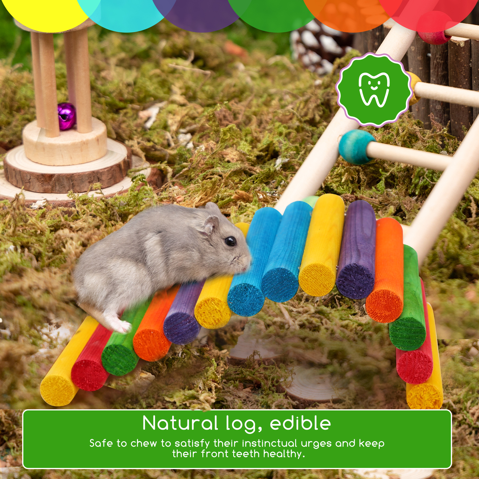 Nobleza - Ponte suspensa de brinquedo para hamsters - Escada longa de madeira para escalada com cores do arco-íris para hamsters, camundongos, gerbos e ratos.