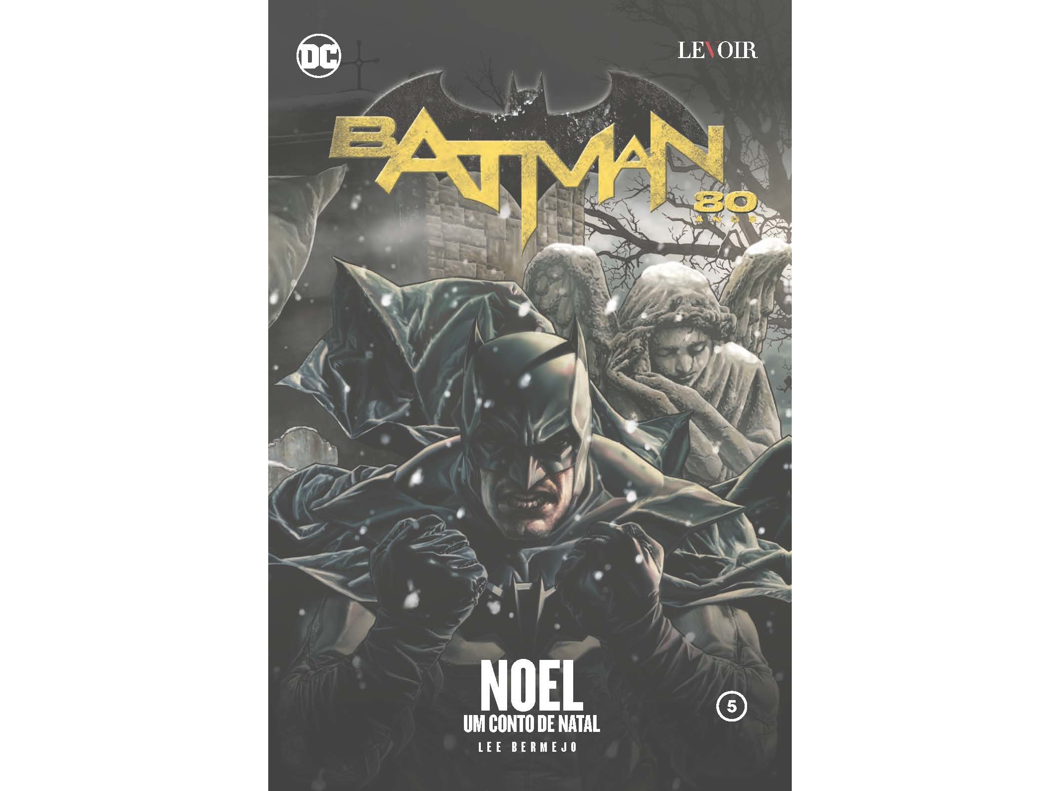 LIVRO BATMAN 80 ANOS-NOEL