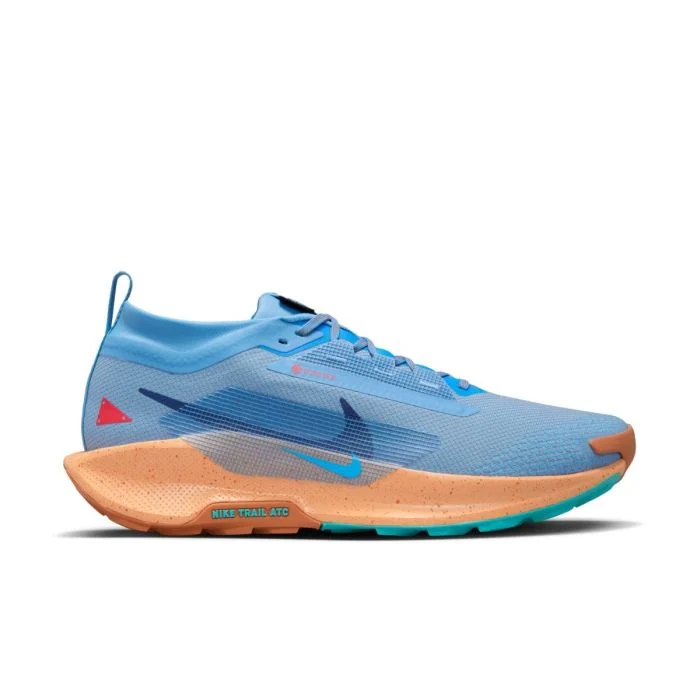 Nike Herre Trailsko Pegasus Trail 5 Gore-Tex Blå