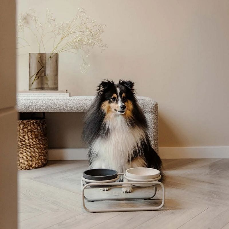 District 70 BUTLER Voerbakstandaard Hond | Beige | S | 15207.2