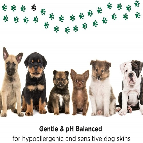 Repelente de insetos natural PETUCHI em spray para filhotes e cães.