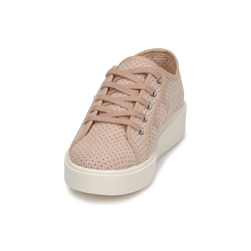 Victoria -  - Rose