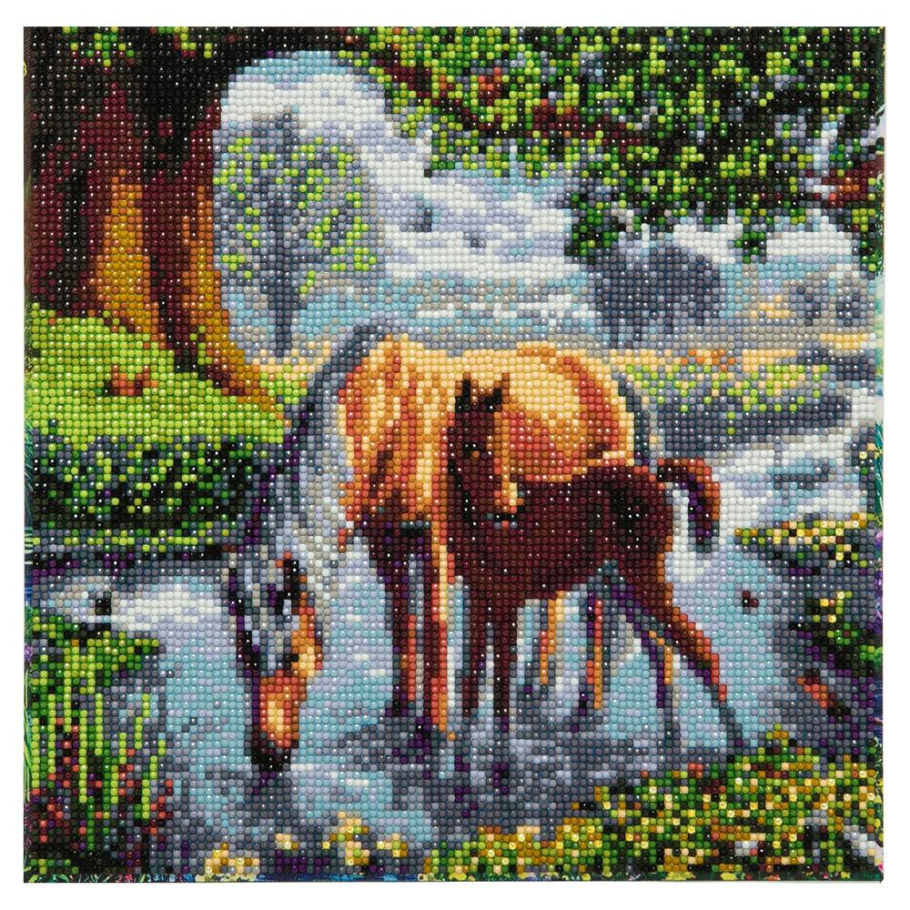 CRYSTAL ART KIT TABLEAU BRODERIE DIAMANT 30 X 30 CM CHEVAUX