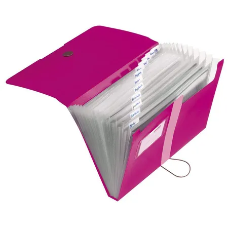 Herlitz Fächermappe PP A4 Beere 12 Fächer easy orga to go