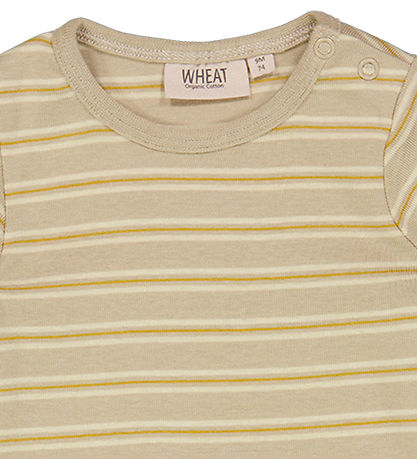 Wheat Body k/ä - Sunny Stripe