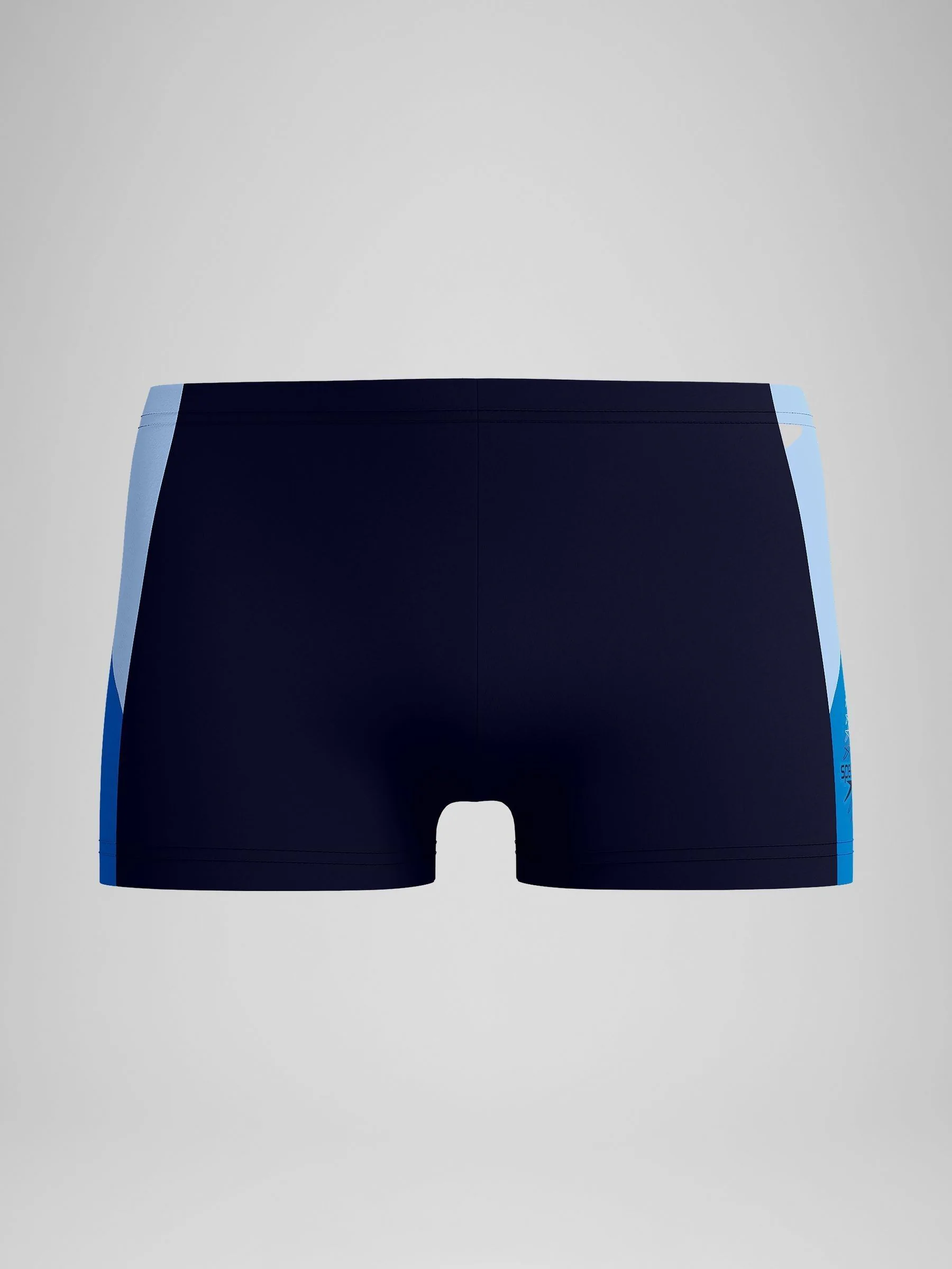 Speedo Mens Dive Aqua Shorts